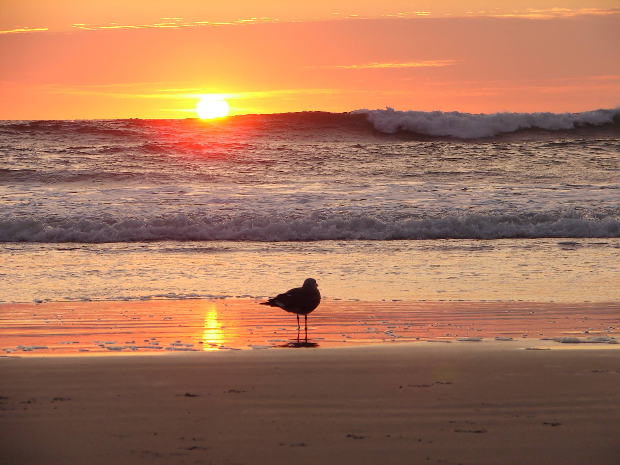 Sunset over the ocean at Carlsbad