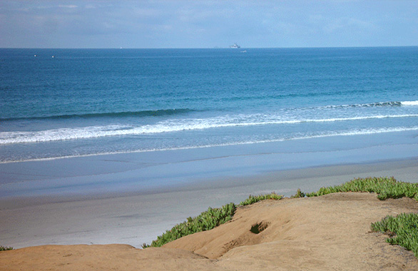 South Carlsbad State Beach seen from the bluff